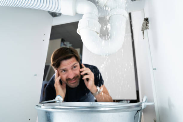 Best Emergency Plumber  in Grand Rapids, MI